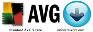 avg download
