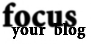 focus your blog develop your niche establish
