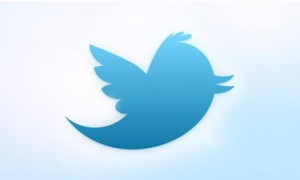 are you a fan of twitter? info carnivore