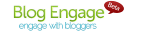Blog Engage Interview with Brian Belfitt on info carnivore