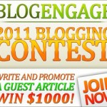 A Thousand Dollars For Blogging Your Heart Out