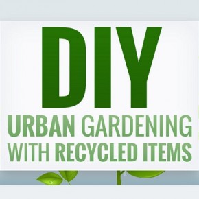Every Man’s Junk is an Upcycler’s Treasure: Urban Gardening With Upcycled Planters