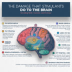 Infographics show the damage substance abuse can do to the brain - Info ...